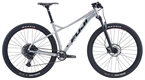 Bicycle Fuji TAHOE 29 1.3 19 2020 Satin Silver